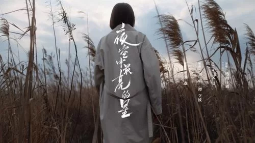 每当我迷失在黑夜里，有哪些歌曲能指引方向？