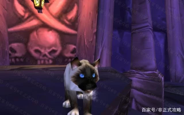 比格沃斯先生：克尔苏加德的宠物猫有何秘密？