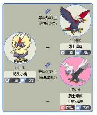 毛头小鹰几级进化？54级进化成勇士雄鹰！