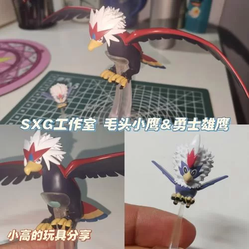 毛头小鹰几级进化？54级进化成勇士雄鹰！