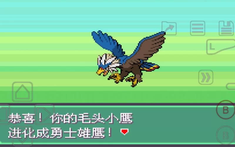 毛头小鹰几级进化？54级进化成勇士雄鹰！