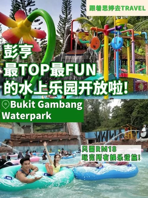 水上乐园游戏合集：各种类型任你选择