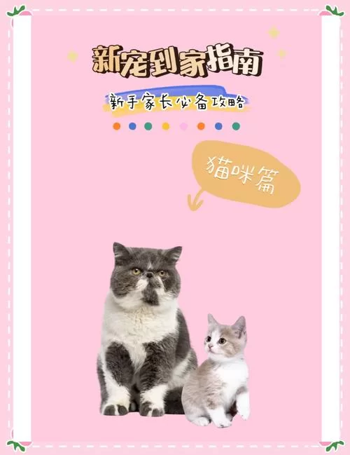 汇聚全球猫奴的猫咪社区网站：一起爱猫！