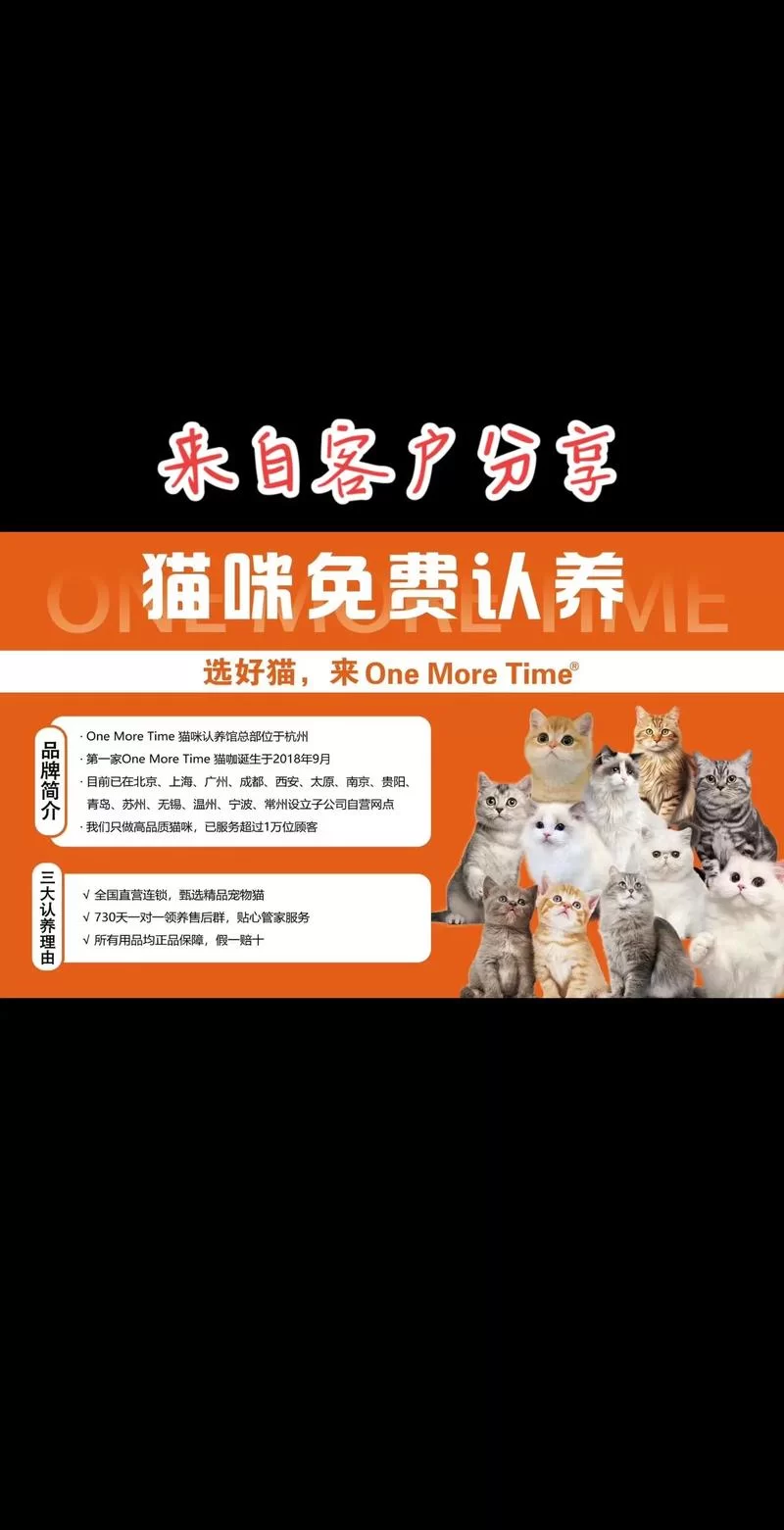 汇聚全球猫奴的猫咪社区网站：一起爱猫！