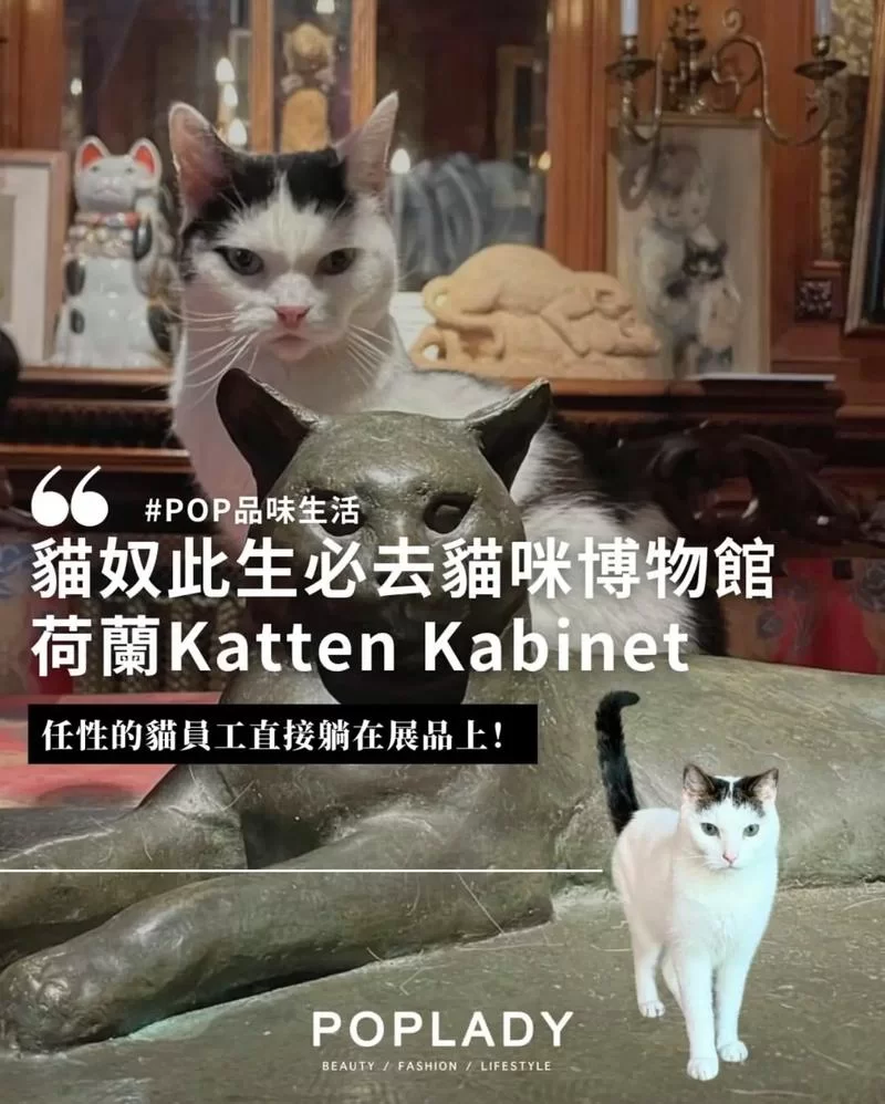 汇聚全球猫奴的猫咪社区网站：一起爱猫！