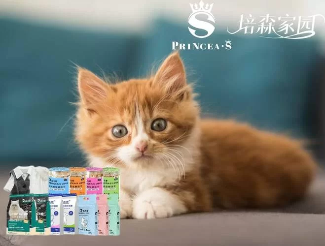 汇聚全球猫奴的猫咪社区网站：一起爱猫！