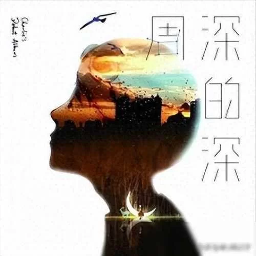 沉浸式体验：感受歌曲维也纳的忧伤的深沉情感