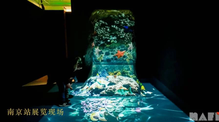 沉浸式体验：揭秘精彩纷呈的虚构世界