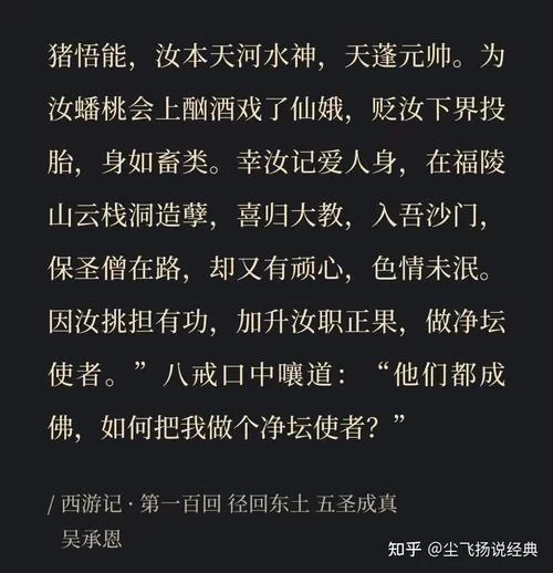 沙和尚挑的担子内容大揭秘：比你想象的还要精彩！