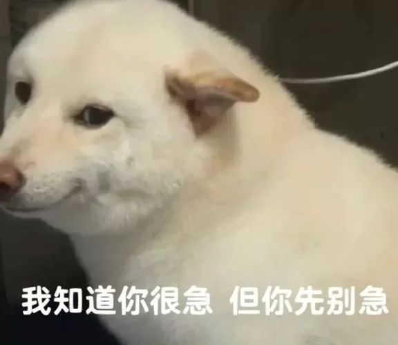 沙雕又治愈！超火鸡汤表情包，一键复制你的快乐