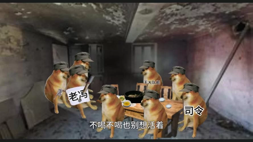 沙雕又治愈！超火鸡汤表情包，一键复制你的快乐