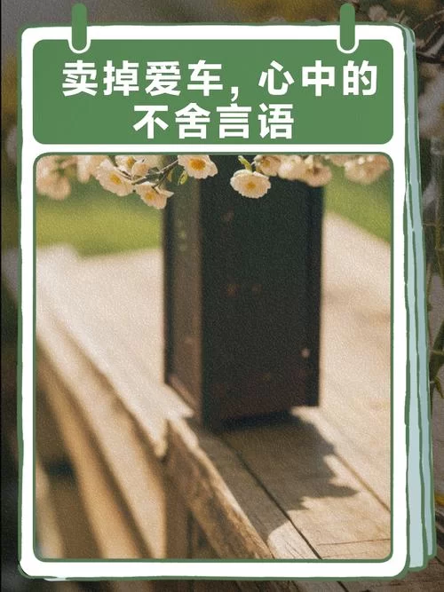 没有轮子的车是什么？一句浪漫话语藏其中！