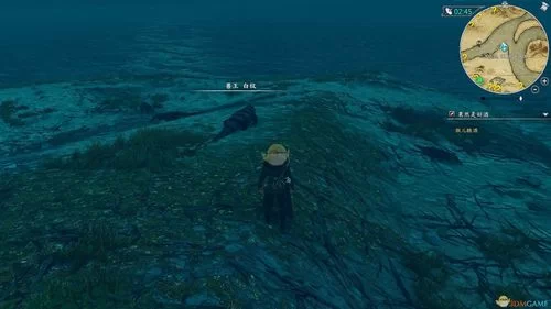 河洛群侠传兽王位置及捕捉技巧：新手玩家必看攻略