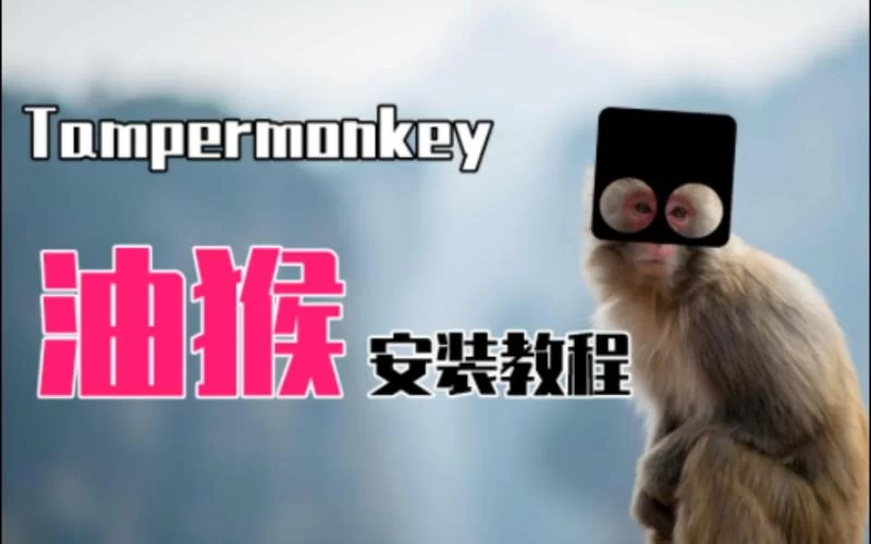 油猴Tampermonkey下载：告别烦人广告，轻松定制你的浏览器