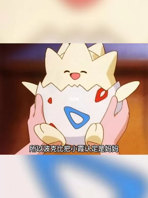 波克比最终进化是什么？揭秘波克比的最终进化形态！
