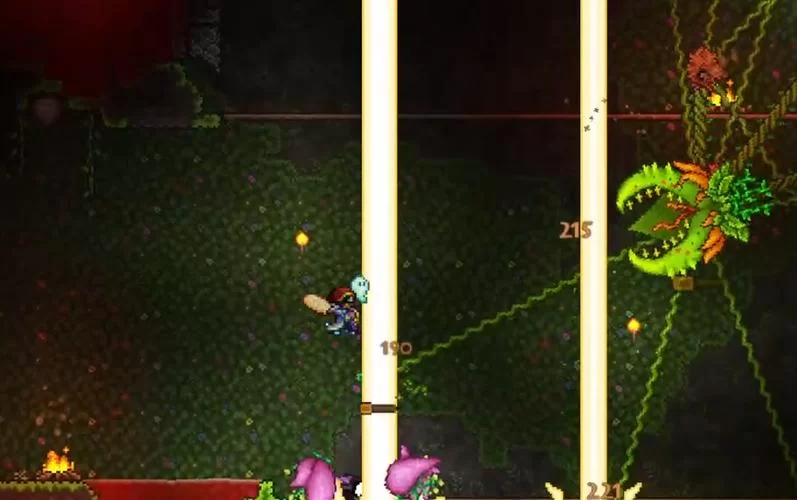 泰拉瑞亚世纪花苞怎么获得？召唤世纪之花的关键