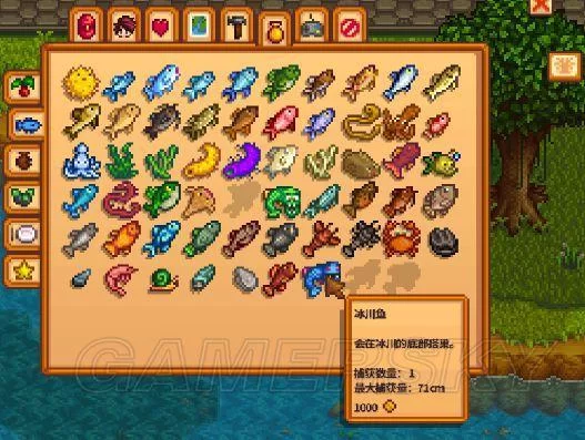 泰拉瑞亚大黄蜂金枪鱼怎么获得？完整钓鱼指南