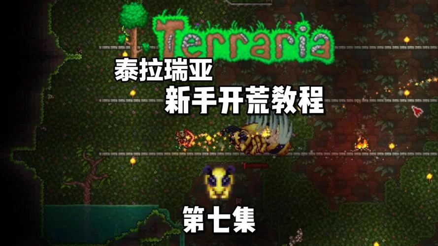 泰拉瑞亚巫医入住条件：击败蜂王+建造房屋的详细步骤