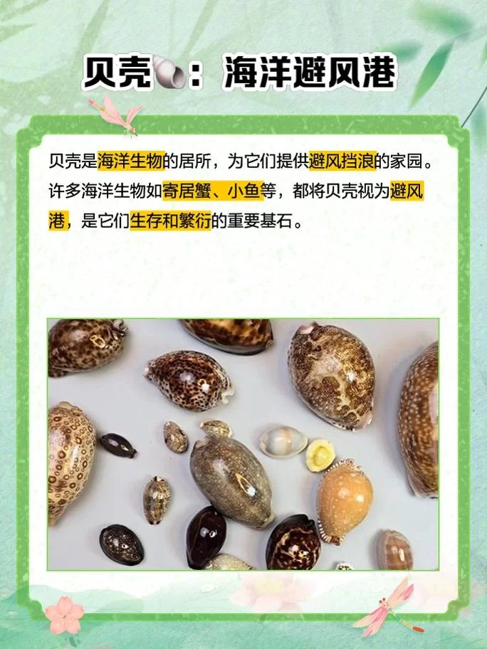 泰拉瑞亚海神贝壳合成方法及材料：简单易懂的指南
