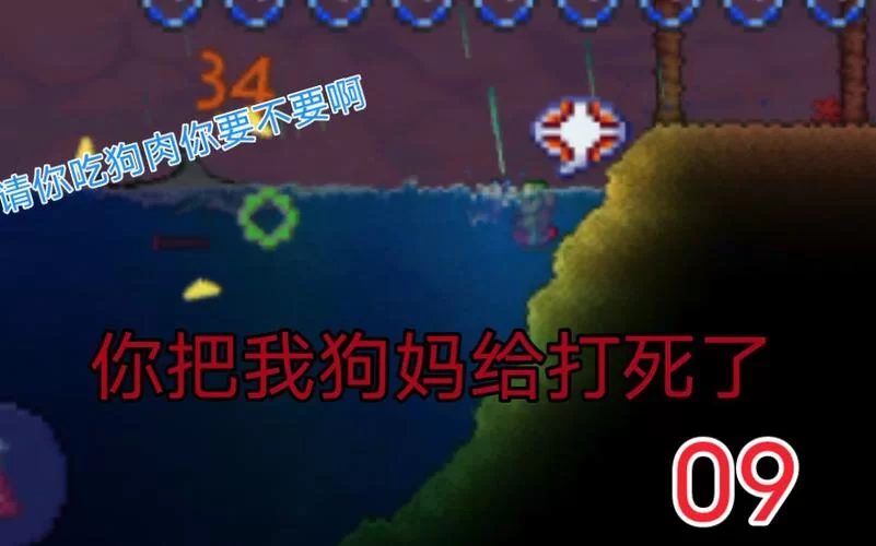 泰拉瑞亚渔夫入住条件详解：怎么才能让渔夫搬来？