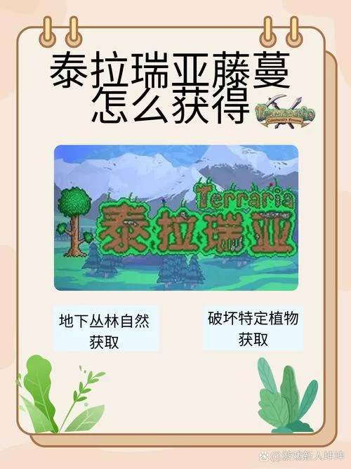 泰拉瑞亚花苞位置详解：丛林深处寻宝攻略