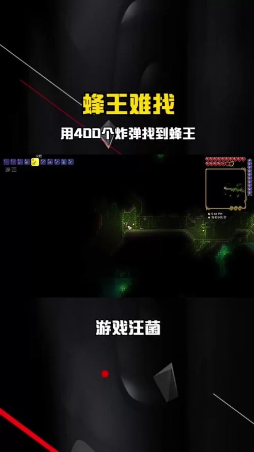 泰拉瑞亚蜂蜜块获取攻略：快速收集蜂蜜块的技巧