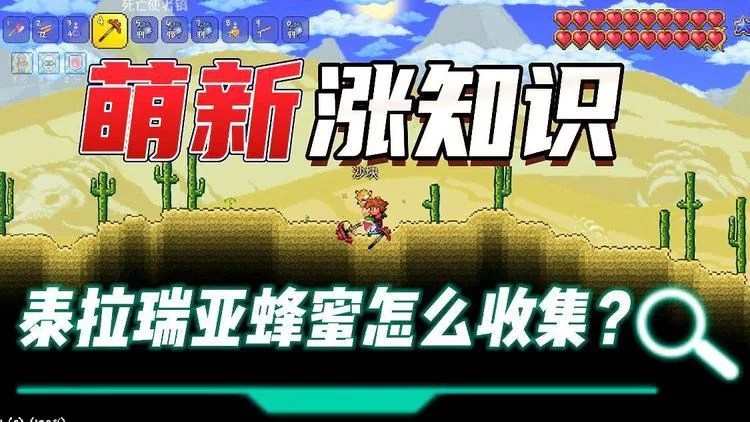 泰拉瑞亚蜂蜜块获取攻略：快速收集蜂蜜块的技巧