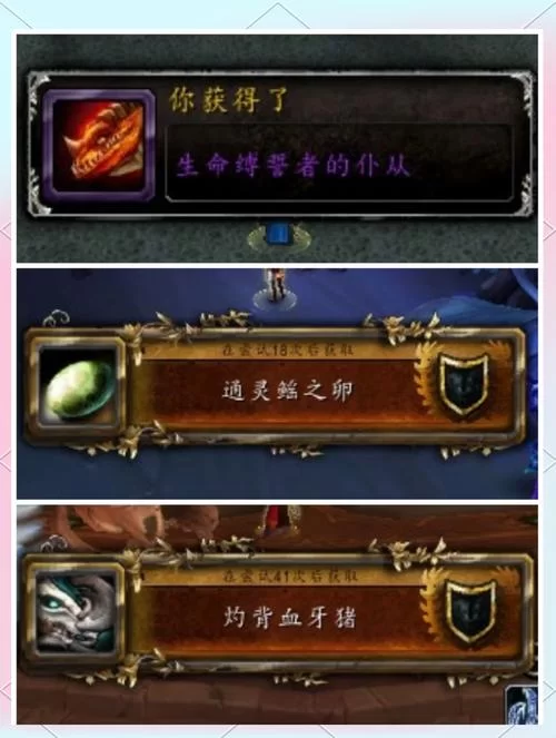 泰拉瑞亚蜜蜂坐骑掉落几率有多低？快速刷取方法详解