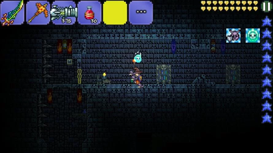 泰拉瑞亚闪耀根种植秘籍：高效种植闪耀根