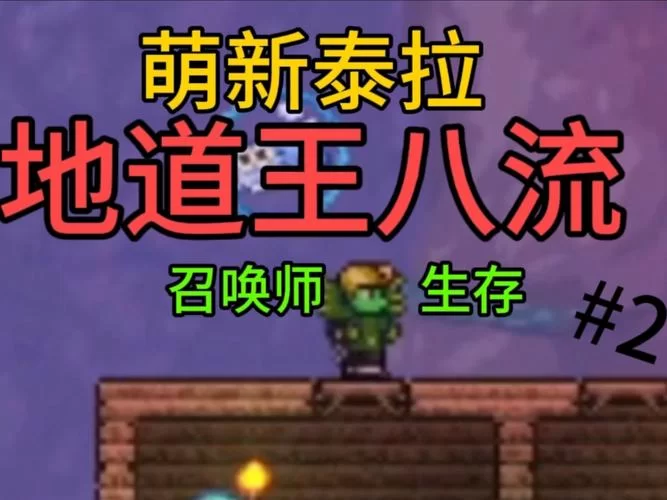 泰拉瑞亚鞭子实用技巧：如何玩转鞭子武器制霸游戏