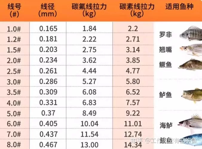 泰拉瑞亚鱼竿渔力排行：提升钓鱼效率的终极攻略