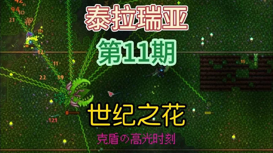 泰拉瑞亚：世纪之花花苞多久刷新？刷新机制详解！