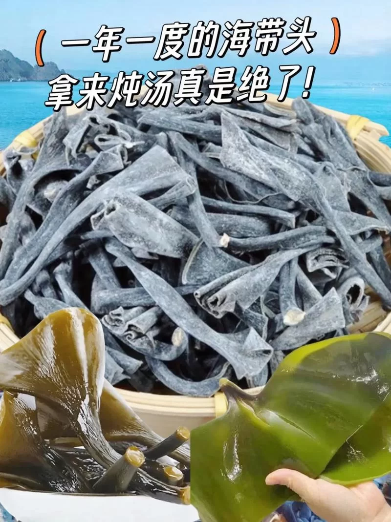 洗海带是什么梗？这首歌的歌词竟藏着秘密！