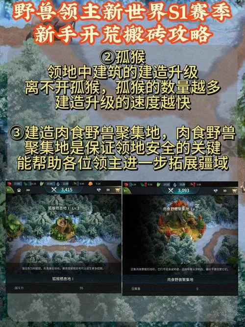 流放之路S19赛季开荒指南：高效升级技巧分享