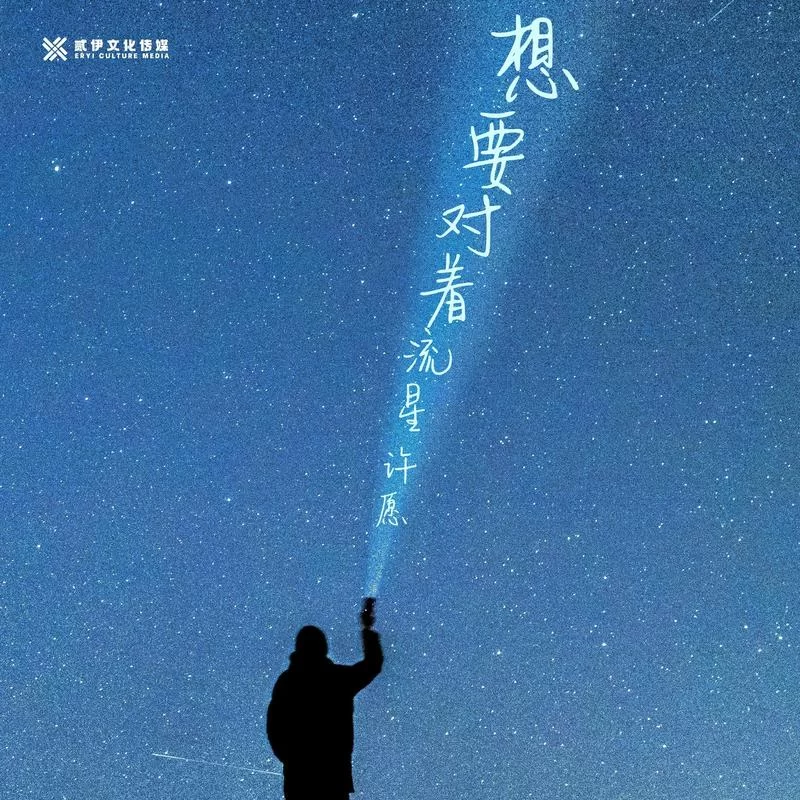 流星划过天际，你的愿望准备好了吗？流星许愿指南