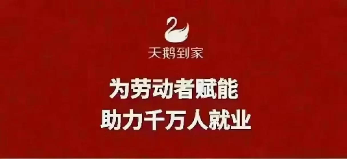 济南天鹅家政公司:口碑好,服务好,解决您的家政烦恼 济南天鹅家政公司:口碑好,服务好,解决您的家政烦恼