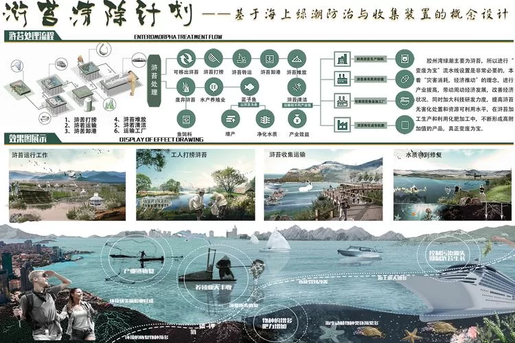 浒苔无害化处理：资源利用新途径，环保又赚钱
