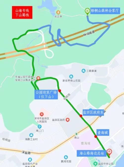 海山开门任务全流程解析：附详细步骤与地图