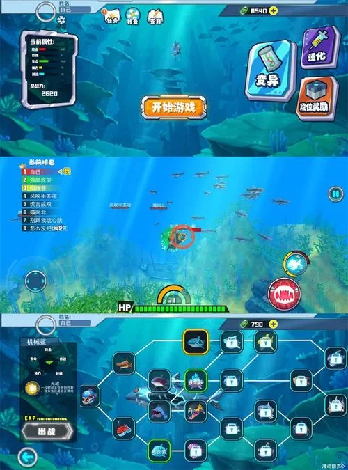 海底大猎杀下载：体验刺激的海洋生存游戏