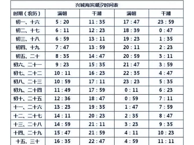 海水涨落知多少？带你了解满潮和干潮的奥秘
