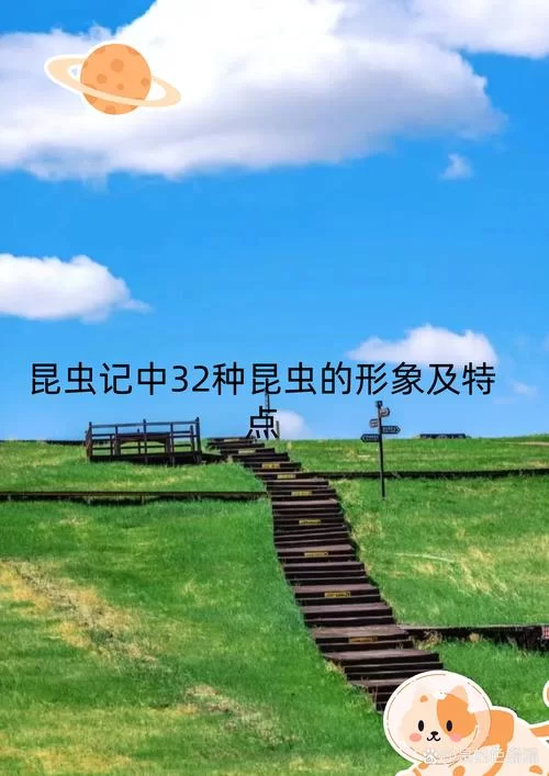 海猴子Sea Monkey：比你想象中更奇妙的小生物