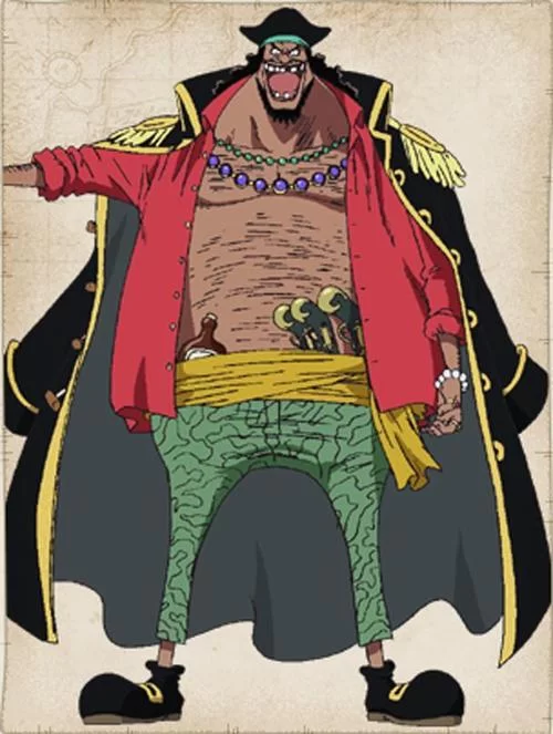 海贼王王下七武海成员大揭秘：你最喜欢谁？