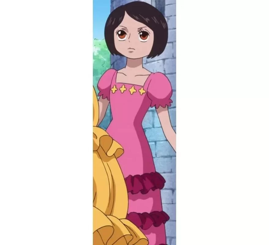 海贼王紫罗兰:令人心疼的王室公主人生 海贼王紫罗兰:令人心疼的王室公主人生