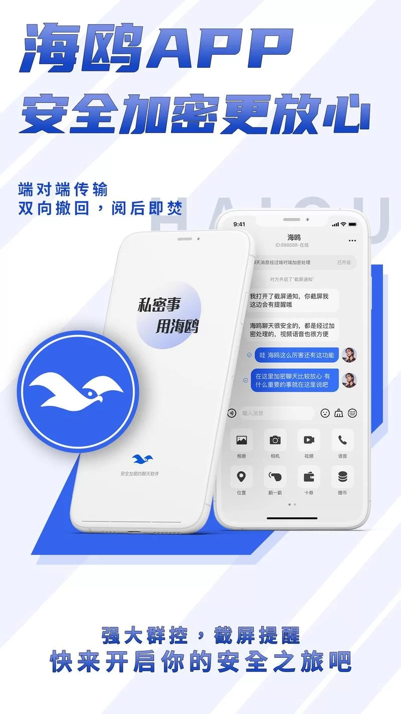 海鸥加速器：解锁全球网站，轻松访问！