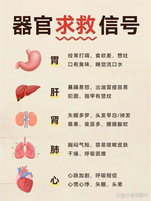 消化太快是身体好还是不好？警惕这些隐藏疾病