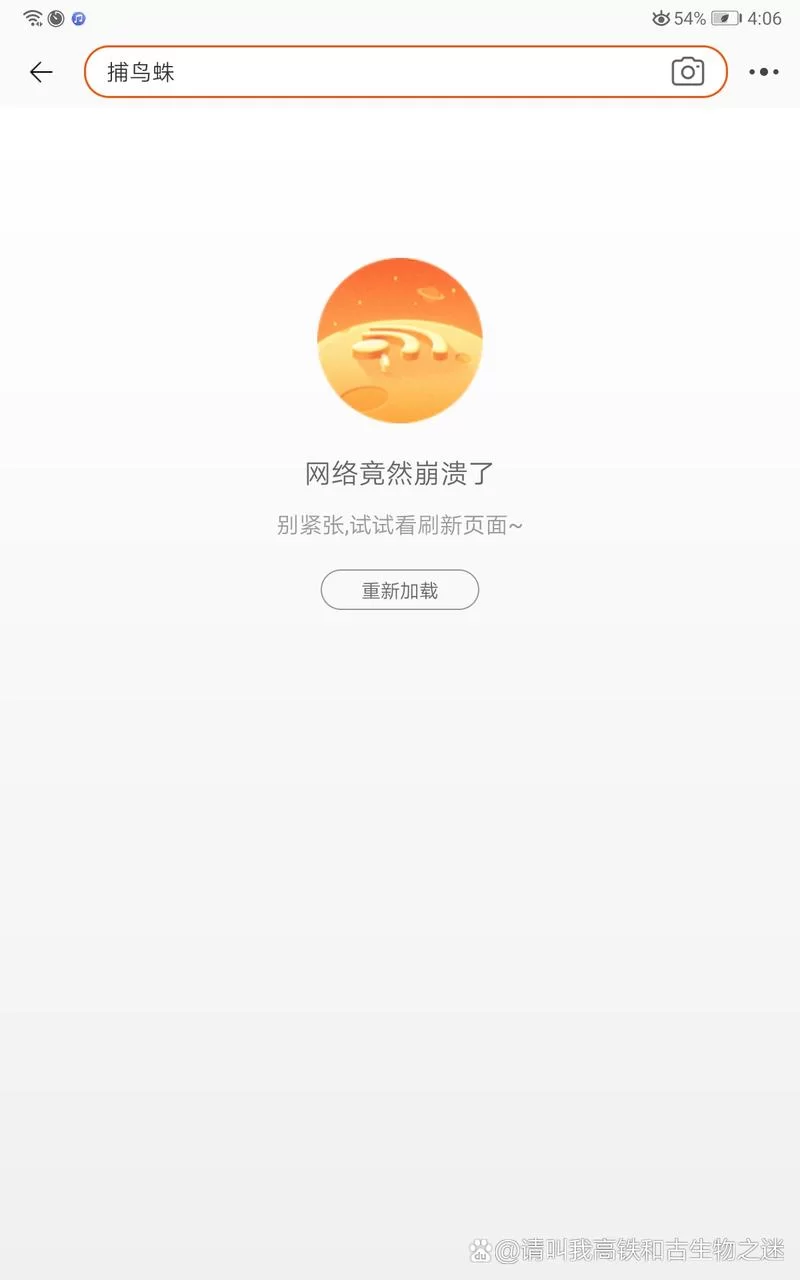 淘宝显示网络崩溃？别急，看看这些解决办法