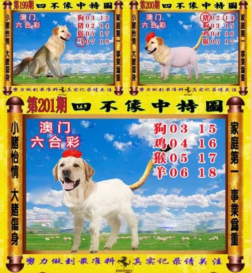 深入了解626969四不像：实用技巧与经验分享