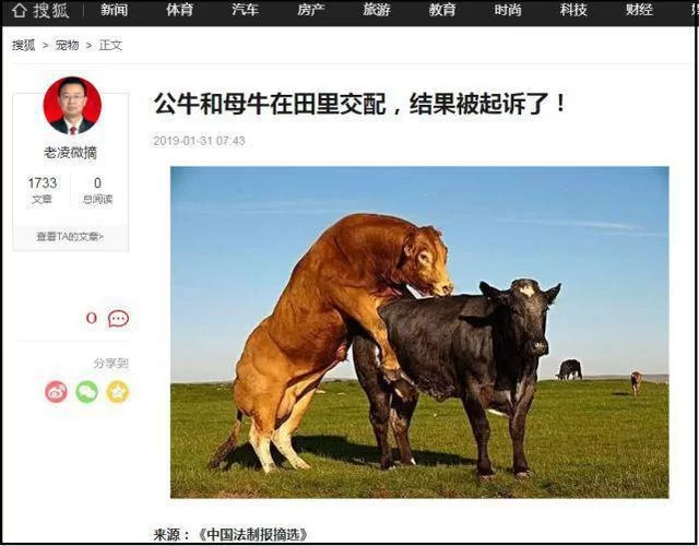 深入了解Bulld：它究竟代表着什么？