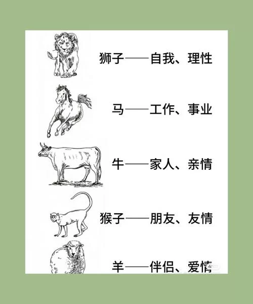 深入了解Bulld：它究竟代表着什么？