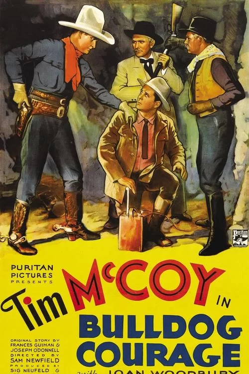 深入了解Bulld：它究竟代表着什么？